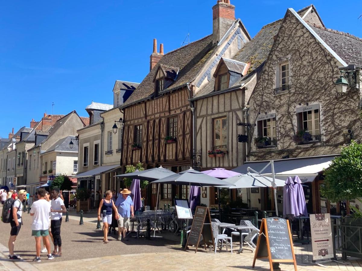 L'Amboisienne, Au Pays Des Chateaux Amboise Dış mekan fotoğraf